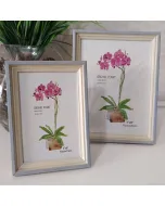 Kit Porta-Retrato Prata/Bege